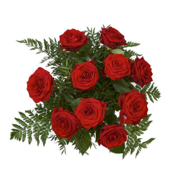 holstblomster.dk