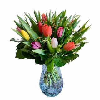 Flotte, farvestrålende tulipaner, multifarvet - Holst Blomster Nexø